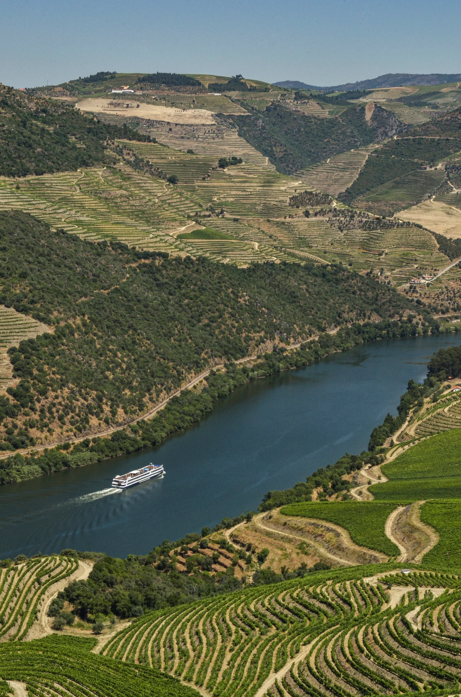 Douro-Cruiser-079RRI_2759-scaled