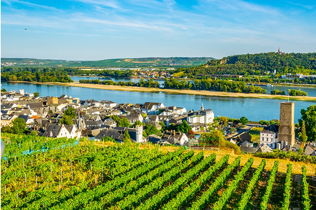 Rudesheim-Panorama-Reno-2
