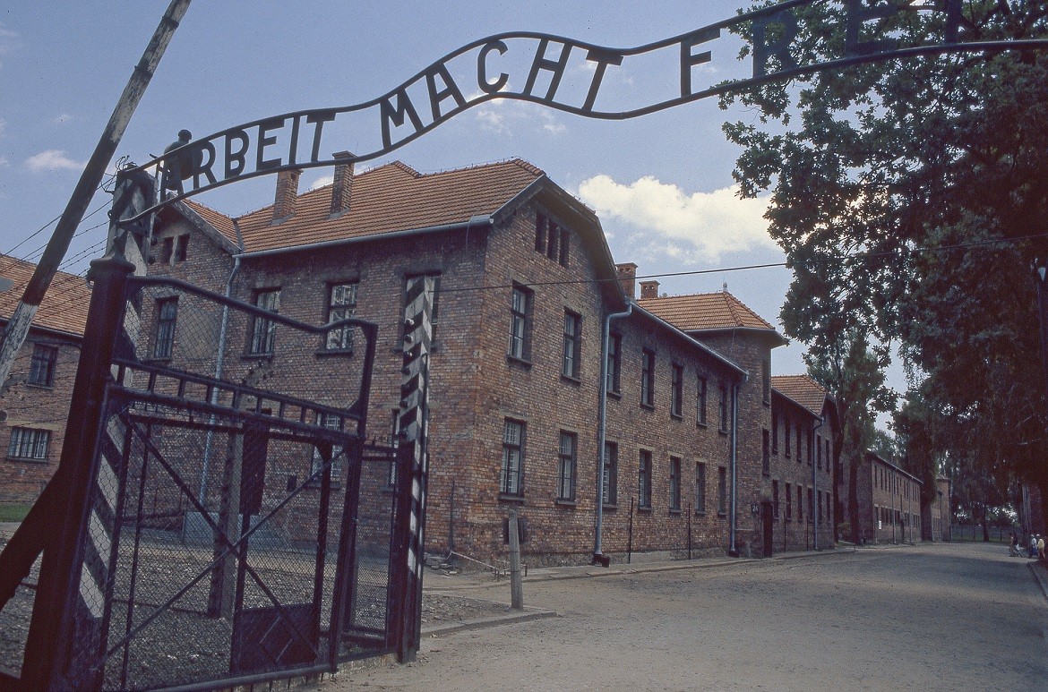 Plansza-2-Auschwitz-Birkenau-miniatura-1