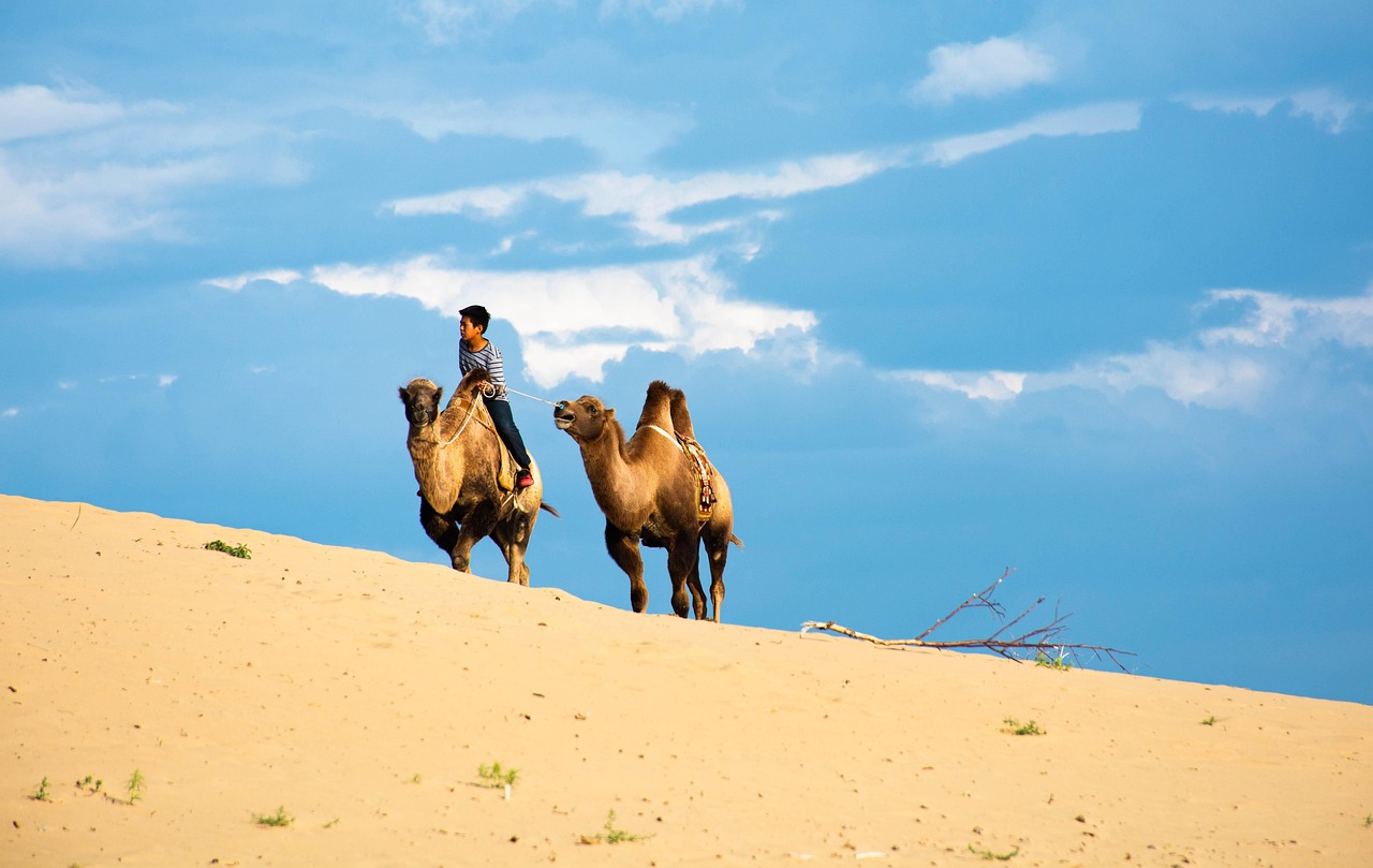 gobi-7582727_1280
