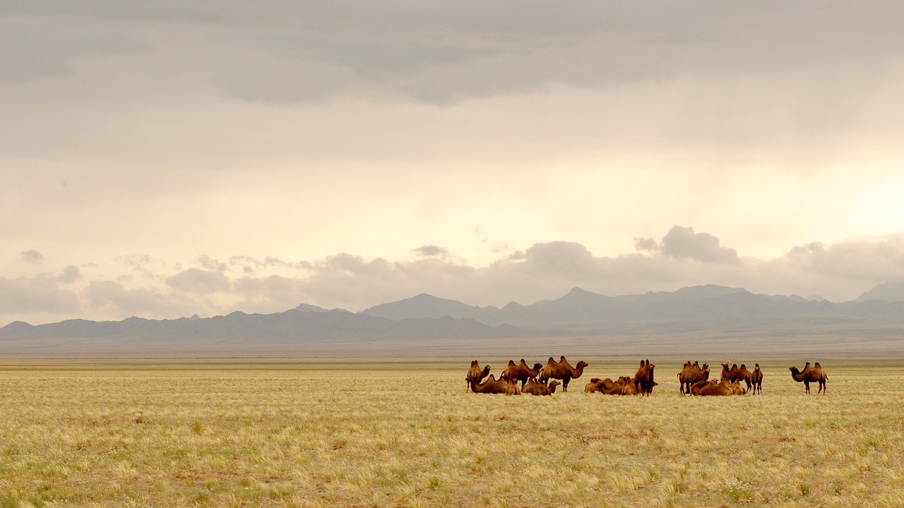 mongolia-695267_1280