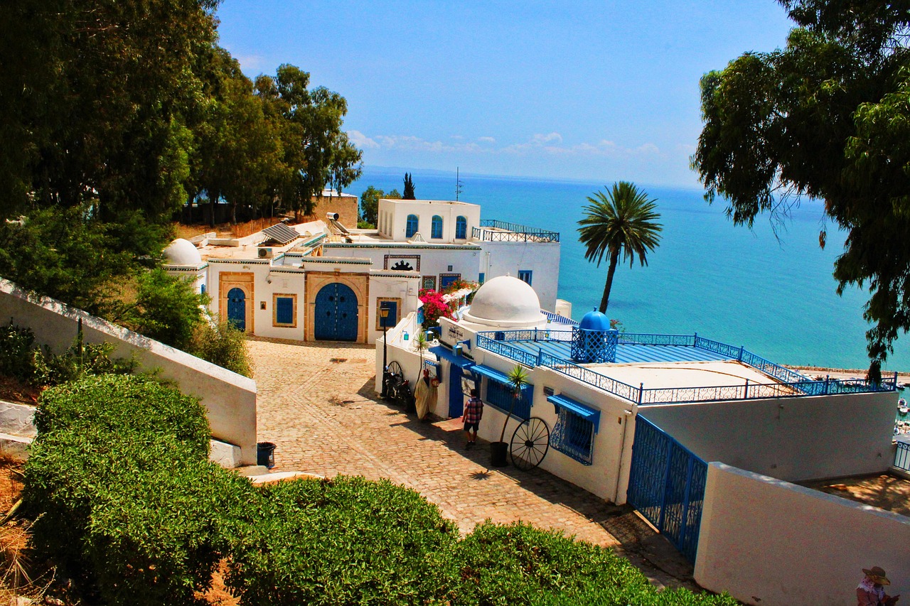 tunis-3885667_1280